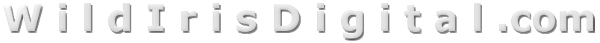 secondpage-header-image (14K)