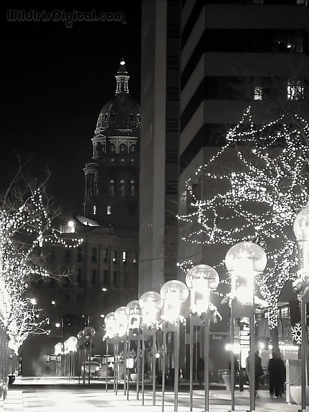 ddp-night-12-08-06--039 (70K)