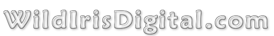 wpd-logo (28K)